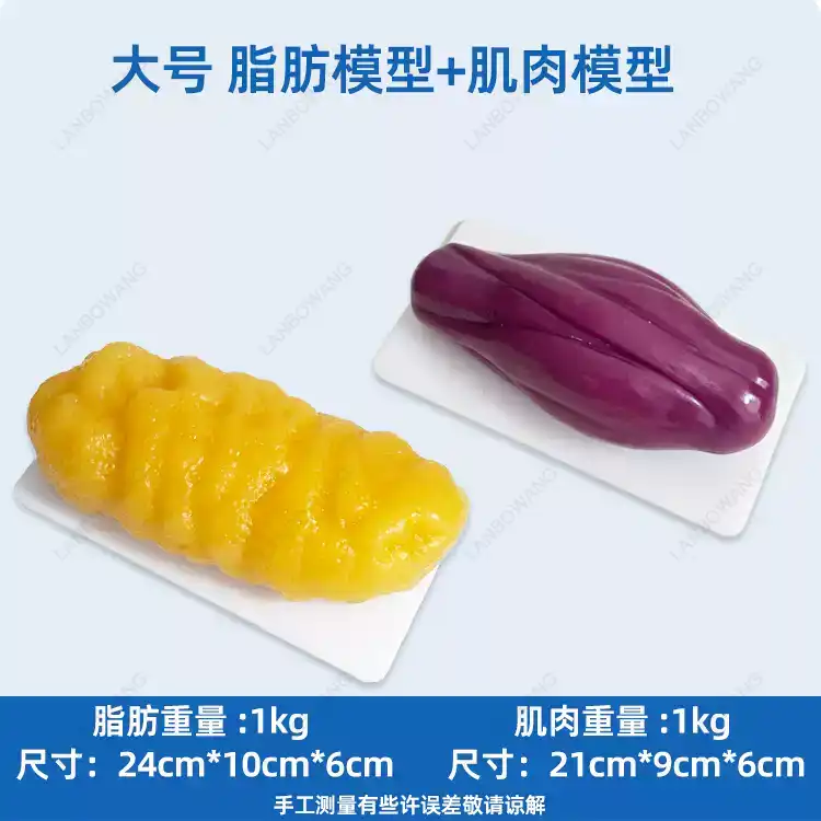 Human Muscle and Fat Replicas, - đánh giá và giá Nutrition Of Fitness