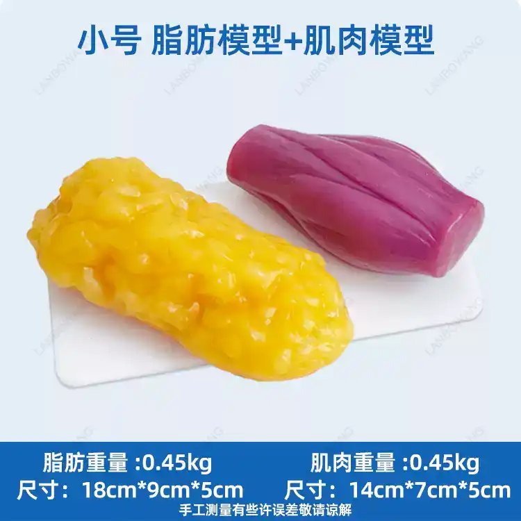 Human Muscle and Fat Replicas, - đánh giá và giá Nutrition Of Fitness